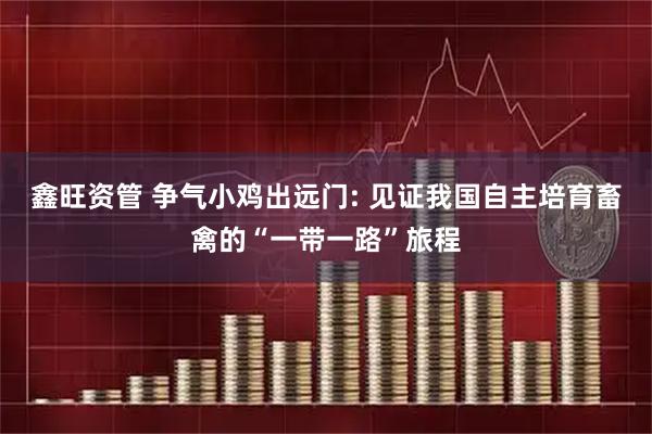 鑫旺资管 争气小鸡出远门: 见证我国自主培育畜禽的“一带一路”旅程