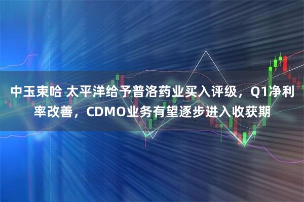 中玉束哈 太平洋给予普洛药业买入评级，Q1净利率改善，CDMO业务有望逐步进入收获期