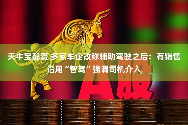 天牛宝配资 多家车企改称辅助驾驶之后：有销售沿用“智驾”强调司机介入