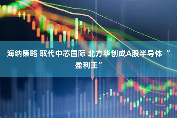 海纳策略 取代中芯国际 北方华创成A股半导体 “盈利王”