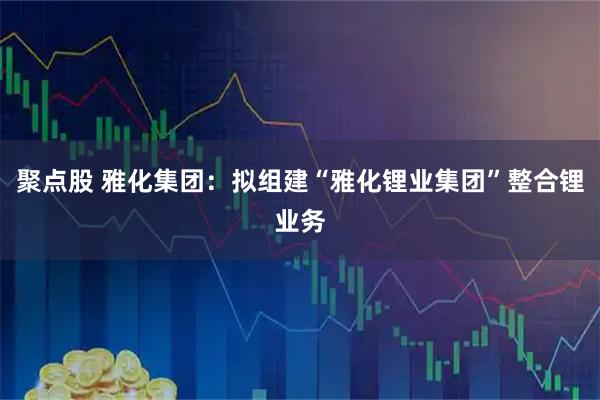 聚点股 雅化集团：拟组建“雅化锂业集团”整合锂业务