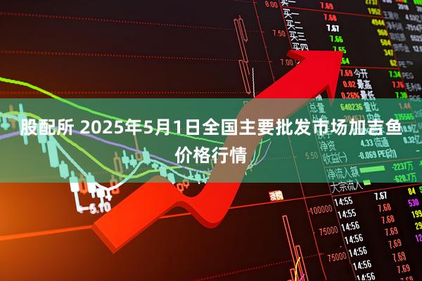 股配所 2025年5月1日全国主要批发市场加吉鱼价格行情