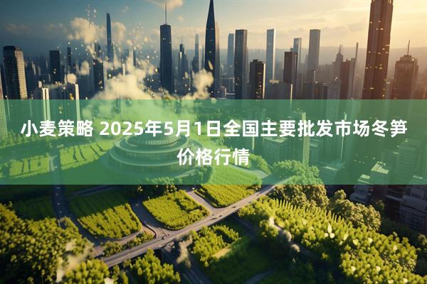 小麦策略 2025年5月1日全国主要批发市场冬笋价格行情