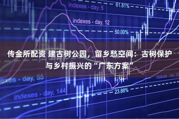 传金所配资 建古树公园，留乡愁空间：古树保护与乡村振兴的“广东方案”