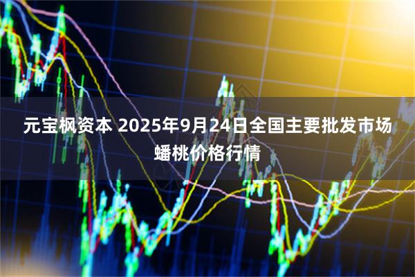 元宝枫资本 2025年9月24日全国主要批发市场蟠桃价格行情