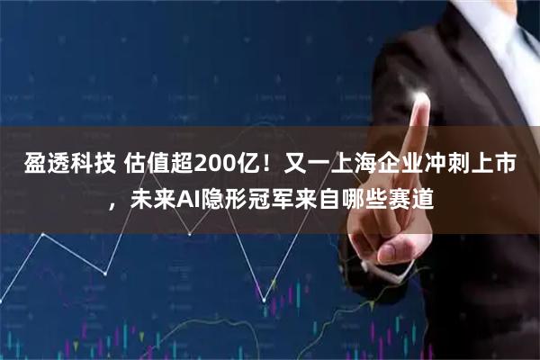 盈透科技 估值超200亿!又一上海企业冲刺上市,未来AI隐形冠军来自哪些赛道