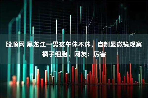 股顺网 黑龙江一男孩午休不休，自制显微镜观察橘子细胞，网友：厉害