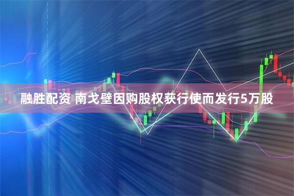 融胜配资 南戈壁因购股权获行使而发行5万股